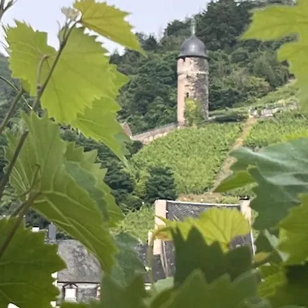 Moseltuermchen 別荘 ツェル・アン・デル・モーゼル